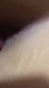 怎样引导狗狗进入自己